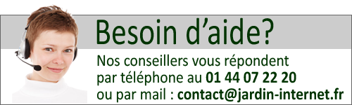 Contactez-nous