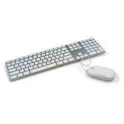 Apple Mouse + Apple Keyboard