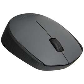 Souris sans fil PC ou Mac Logitech M170 grise/noire