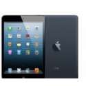 Tablette Tactile Apple iPad Mini 16 Go
